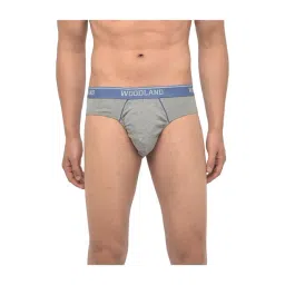 Woodland Light Grey Solid Briefs-picture-34