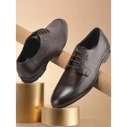 Woodland Men's Brown Derby Shoes-picture-30