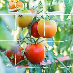 world net enterprise WNE-KWHITE-6FEETX6FEET Hiking Net-picture-14