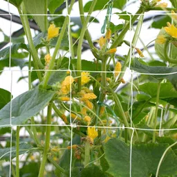 world net enterprise WNE-KWHITE-6FEETX9FEET Hiking Net-picture-8