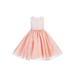 Wow Princess Lace A-Line Dress-picture-34