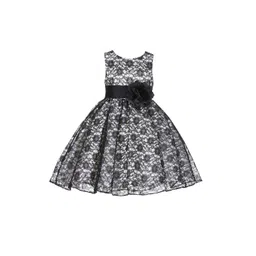 Wow Princess Lace A-Line Dress-picture-10