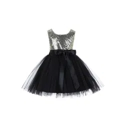 Wow Princess Net A-Line Dress-picture-49