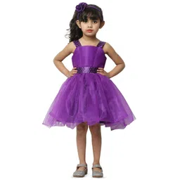 Wow Princess Net A-Line Dress-picture-42