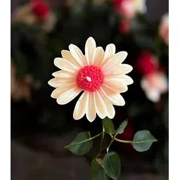 Writtini Daisy Flower Floating Candle Set – Set of 4 White & Pink Floral Scented Decorative Floating Candles, Handcrafted for Home Décor, Events & Relaxation-picture-12