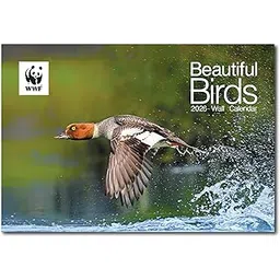 WWF-India 2026 Wall Calendar – Beautiful Birds | 12 Stunning Bird Photographs | Eco-Friendly FSC Certified Paper | Center-Stapled | 14 Sheets with Planner | Large Wall Calendar 13.75” x 19”-picture-20