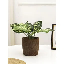 XERGY Green 1 Pieces Bougainvillea Artificial Plant With Pot-picture-11