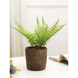 XERGY Green 1 Pieces Fern Artificial Plant With Pot-picture-21