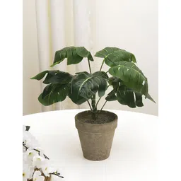 XERGY Green 1 Pieces Ivy Artificial Plant With Pot-picture-28