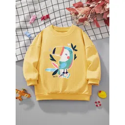Xsole Boys Printed Pullover Sweatshirt-picture-35
