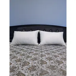 Y&A'M Pack of 2 Pre-Filled Pillows-picture-19