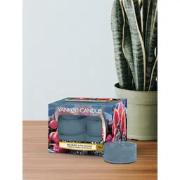 YANKEE CANDLE Blue Mulberry & Fig Delight Scented Tealights Candles-picture-22