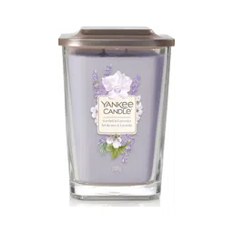 YANKEE CANDLE Purple 1 pieces Jar Candle-picture-38