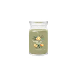 Yankee Candle Sage & Citrus Scented Jar Candle-picture-11