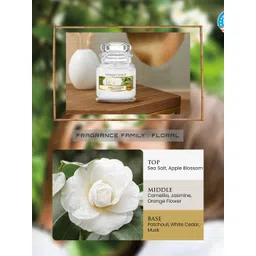YANKEE CANDLE  White Camellia Blossom Candles-Camellia Blossom-picture-35