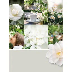 YANKEE CANDLE  White Camellia Blossom Candles-Camellia Blossom image 4