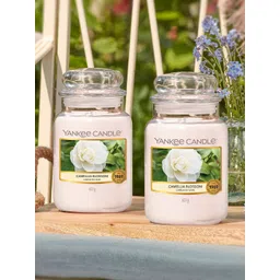 YANKEE CANDLE White Camellia Blossom Jar Scented Candle-picture-13