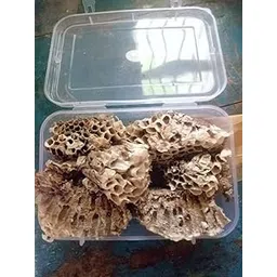 Yellow Bee Nest (4 x 6.5 inches nest) |Tattaiya Ka Chatta| Bhirad ka chatta 4x6.5 inches (Multi color).-picture-34