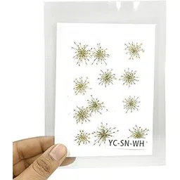 YellowCult Natural Real Dried & Pressed Flowers for Art Craft - Mixed, Multicolor for Soap, Candle, Scrapbooking, DIY, Resin Jewelry, Pendant - [Snowdrop Flower-White]-picture-23