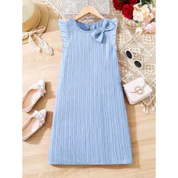 YK Flutter Sleeve A-Line Dress-picture-29