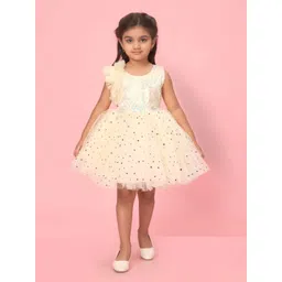 YK Girls Embellished Net Fit & Flare Dress-picture-20