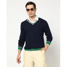 yousta Men Regular Fit V-Neck Sweater-picture-45