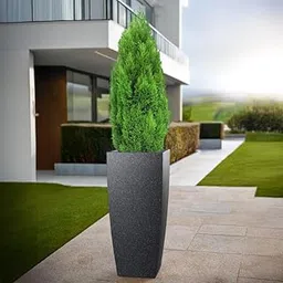 YUCCABE ITALIA Foxb Tk 30 Inch Pots For Plants Highly Durable Polymers Lightweight Indoor Outdoor Plant Pots, Flower Pot Gamla Tree Planter Container Planters For Living Room, Balcony, Garden (Grey)-picture-22