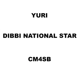 Yuri Dibbi National Star Spare for Marble Cutter CM4SB-picture-25