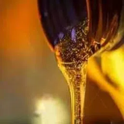 Z Premium Chain Lube Oil 5 L, 0811ZLX3CPR image 3