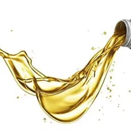 Z Premium Motor Bike Lubricant Oil 5 L, 0814ZTM786G (Pack of 4) image 4