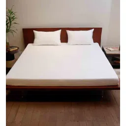 White Solid 300 TC Cotton Blend Queen Sized Bed Sheets with 2 Pillow Covers by Zeba-picture-39