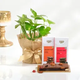 Zen Harmony Gift Set-picture-23
