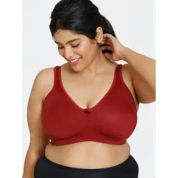 Zivame Red Solid Everyday Bra-picture-47