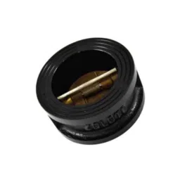 Zoloto 65mm Cast Iron Dual Plate Wafer Type PN 16 Check Valve, 1082-picture-30