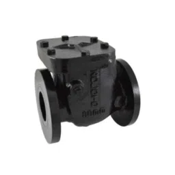 Zoloto 65mm Cast Iron Non Return PN 1 Flanged Valve, 1083-picture-47