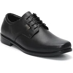 zoom shoes Genuine Burnished Leather Formal Derby Shoes for Men ZAM-1185 | Waxed Laces with Flexible Sole, Memory Cushion Padded Insole and Odour Resistance-picture-37